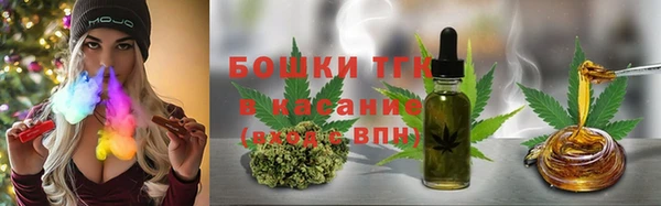 тгк Сатка