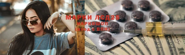 тгк Сатка