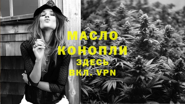 тгк Сатка
