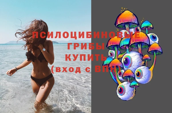 тгк Сатка