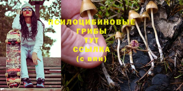 тгк Сатка