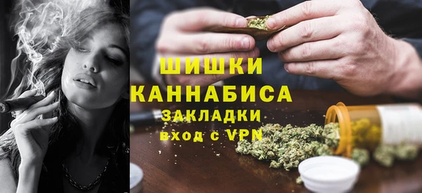 тгк Сатка